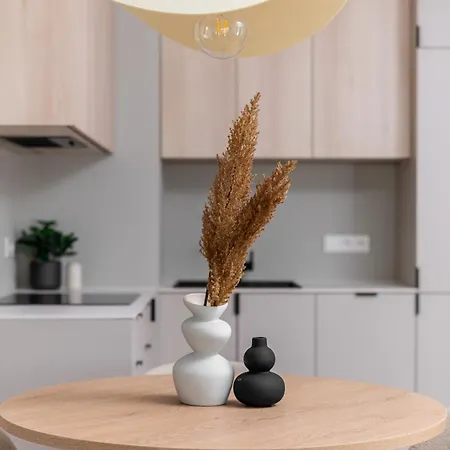 Sandstone - Homfi Collection